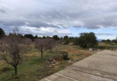 Casa de campo con terreno en venta en la España, Cheste, ref: TR398213 foto