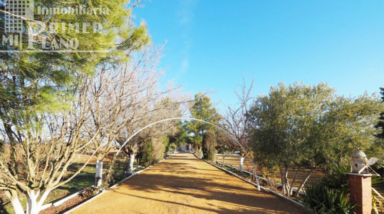 Ciudad Real - Socuéllamos - 9280m2