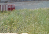 Land suitable for development for sale on España, Aielo de Malferit, ref: TR112189 photo