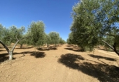 Chalet independiente con terreno en venta en la España, Gibraleón, ref: TR134450 foto