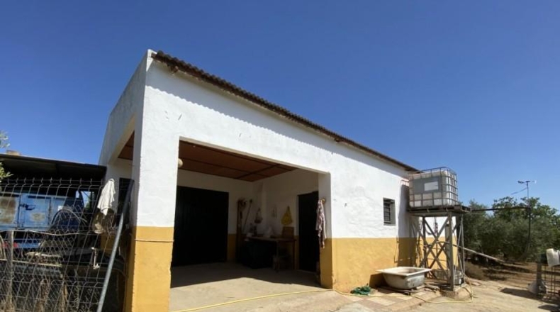 Huelva - Gibraleón - 21000m2