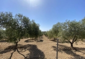Chalet independiente con terreno en venta en la España, Gibraleón, ref: TR134450 foto
