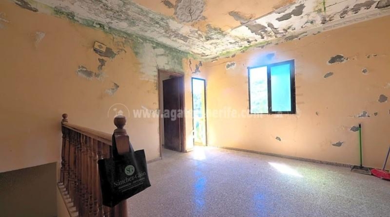 Santa Cruz de Tenerife - Icod de los Vinos - 1163m2