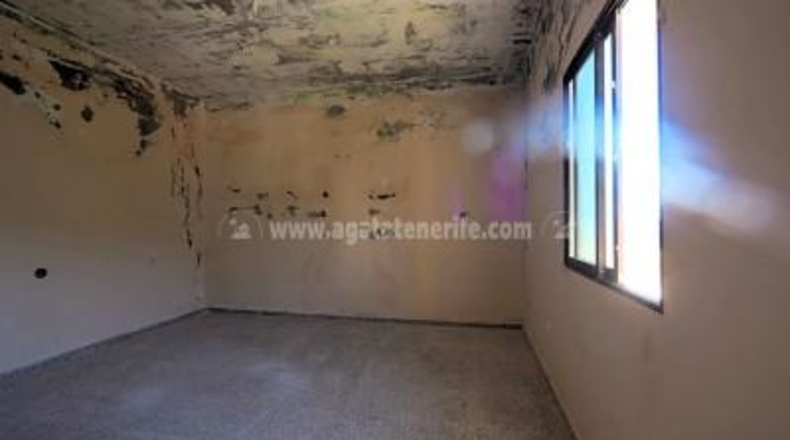 Santa Cruz de Tenerife - Icod de los Vinos - 1163m2