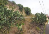 Chalet independiente con terreno en venta en la España, Icod de los Vinos, ref: TR405714 foto