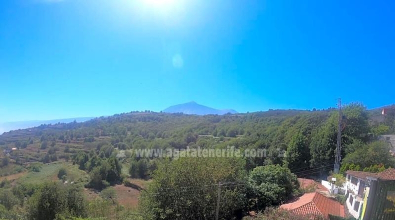 Santa Cruz de Tenerife - Icod de los Vinos - 1163m2