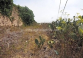 Chalet independiente con terreno en venta en la España, Icod de los Vinos, ref: TR405714 foto