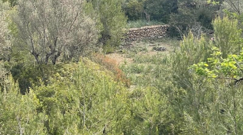 Islas Baleares - Puigpunyent - 8964m2