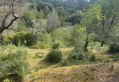 Terreno no urbanizable en venta en la España, Puigpunyent, ref: TR403602 foto