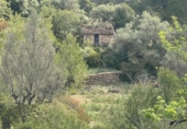 Terreno no urbanizable en venta en la España, Puigpunyent, ref: TR403602 foto