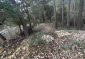 Terreno no urbanizable en venta en la España, Puigpunyent, ref: TR403602 foto