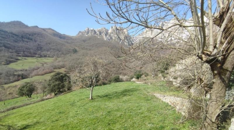 Cantabria - Camaleño - 1500m2