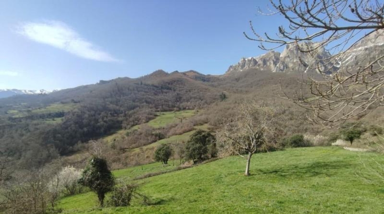Cantabria - Camaleño - 1500m2