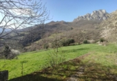 Detached villa with land for sale on España, Camaleño, ref: TR409608 photo