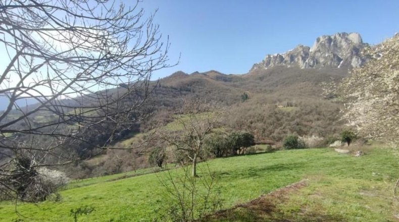 Cantabria - Camaleño - 1500m2