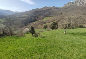 Camaleño 1500&nbsp;m²