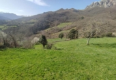 Detached villa with land for sale on España, Camaleño, ref: TR409608 photo