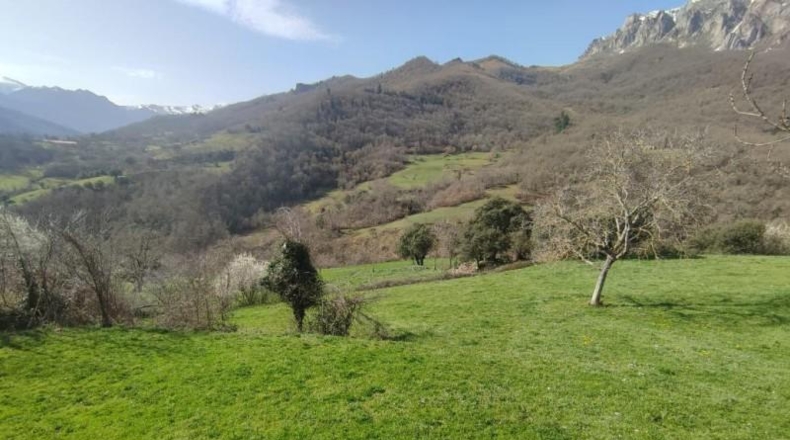 Cantabria - Camaleño - 1500m2