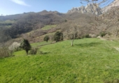 Detached villa with land for sale on España, Camaleño, ref: TR409608 photo