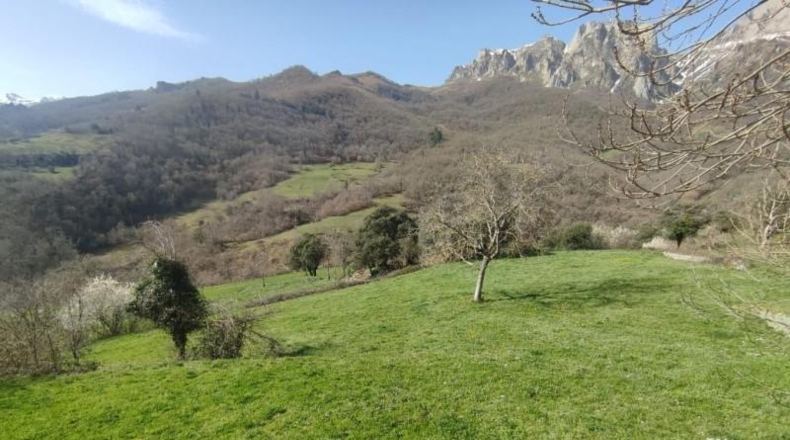 Cantabria - Camaleño - 1500m2