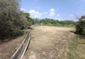 Detached villa with land for sale on España, Alguazas, ref: TR406188 photo