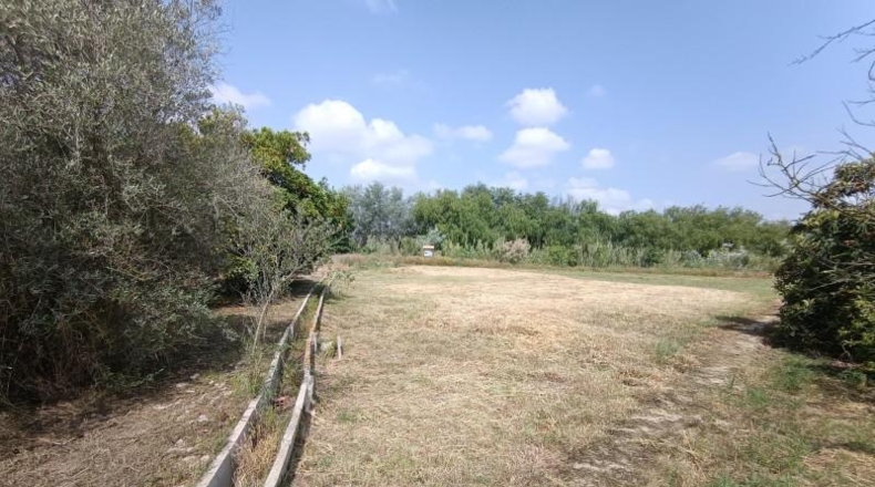 Murcia - Alguazas - 2970m2