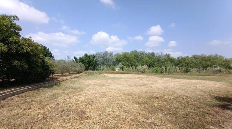 Murcia - Alguazas - 2970m2