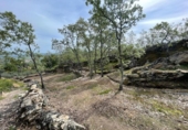 Parcela urbanizable en venta en la España, Montánchez, ref: TR317003 foto
