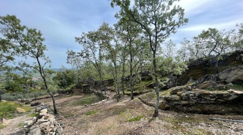 Cáceres - Montánchez - 100000m2
