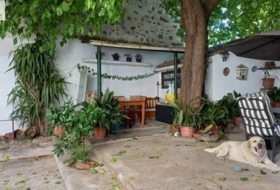 Foto 6
