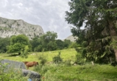 Земельный участок на продажу в городе Liérganes Фото