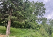 Земельный участок на продажу в городе Liérganes Фото