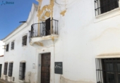 Detached villa with land for sale on España, Ribera del Fresno, ref: TR181446 photo