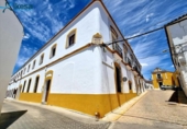 Detached villa with land for sale on España, Ribera del Fresno, ref: TR181446 photo