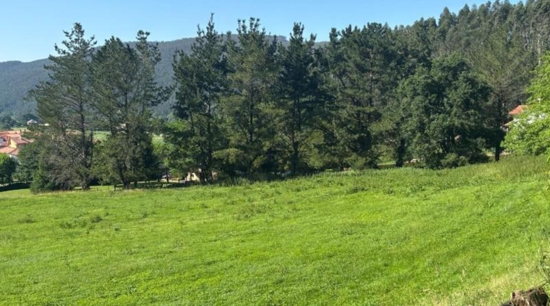 Cantabria - Pomaluengo - 7489m2