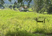 Non-developable land for sale on España, Pomaluengo, ref: TR411243 photo