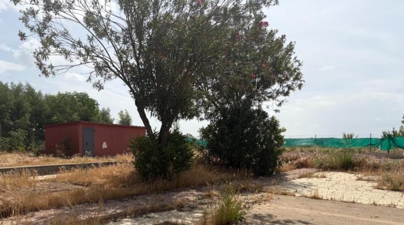 Badajoz - Don Benito - 1955m2