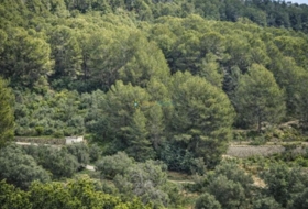 Foto 10
