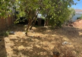 Detached villa with land for sale on España, Casares, ref: TR408528 photo