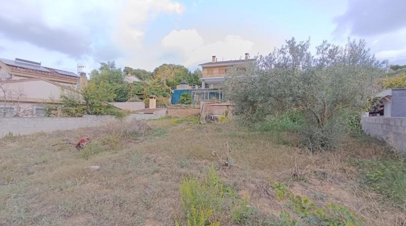 Barcelona - Canyelles - 658m2