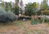 Suelo urbano en venta en la España, Canyelles, ref: TR346255 foto