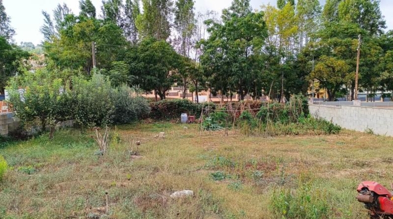 Barcelona - Canyelles - 658m2