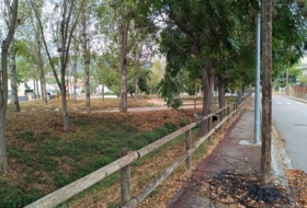 Foto 11
