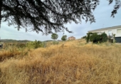 Xalet independent amb terreny en venda a la España, Copernal, ref.: TR169681 foto