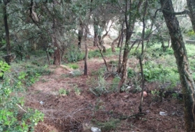 Calonge 767&nbsp;m²