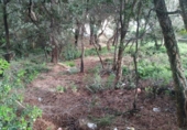 Suelo urbano en venta en la España, Calonge, ref: TR407137 foto