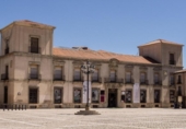 Detached villa with land for sale on España, Medinaceli, ref: TR177137 photo