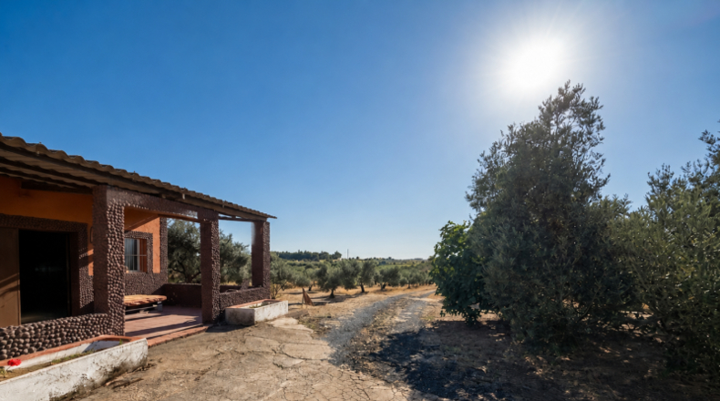 Huelva - La Palma del Condado - 21185m2