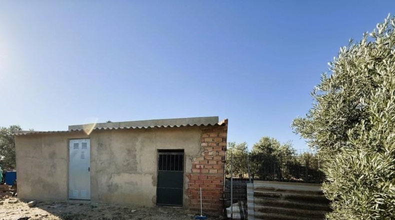 Huelva - La Palma del Condado - 21185m2