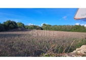 Terreno no urbanizable en venta en la España, Ciutadella de Menorca, ref: TR194794 foto